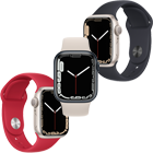 Apple Watch Series 7 41mm - Sport Band